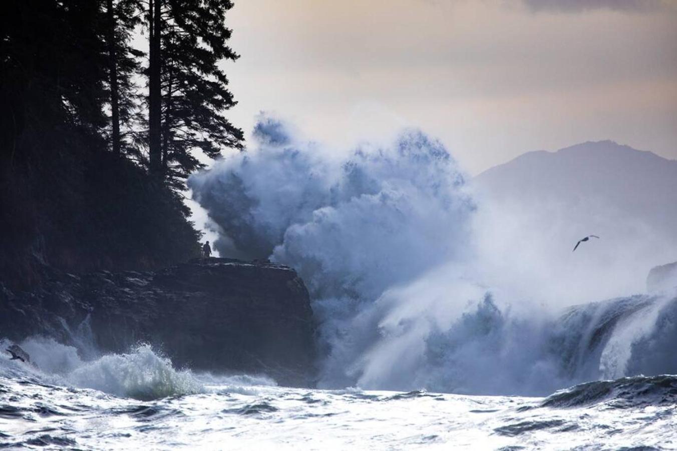 The Great Escape - Port Renfrew Villa Bagian luar foto
