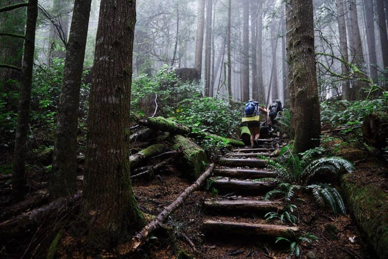 The Great Escape - Port Renfrew Villa Bagian luar foto